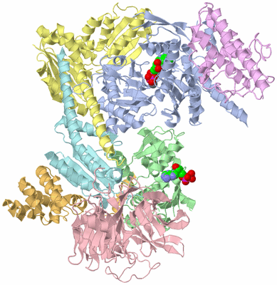 Image Asym./Biol. Unit