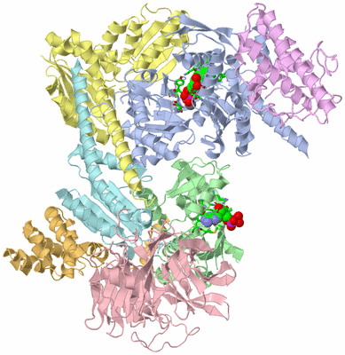 Image Asym./Biol. Unit - sites