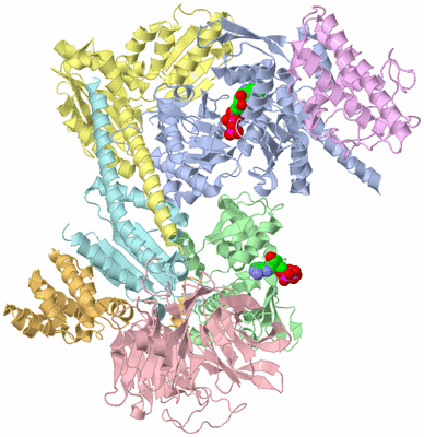 Image Asym./Biol. Unit