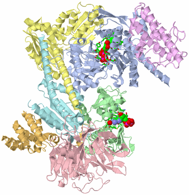 Image Asym./Biol. Unit - sites