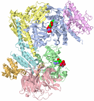 Image Asym./Biol. Unit