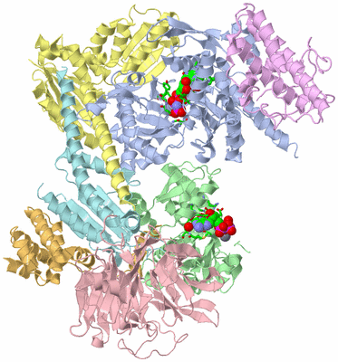 Image Asym./Biol. Unit - sites