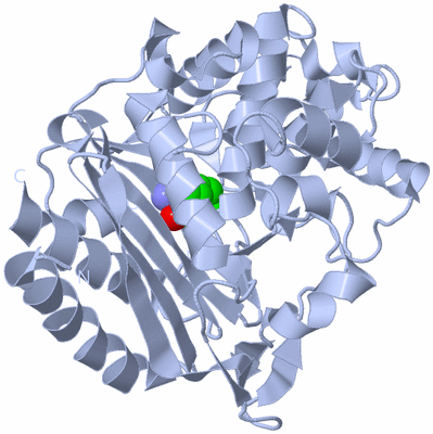 Image Biological Unit 1