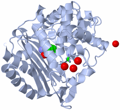 Image Biol. Unit 1 - sites