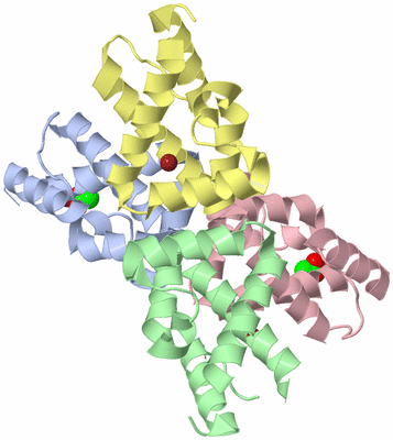 Image Biological Unit 1