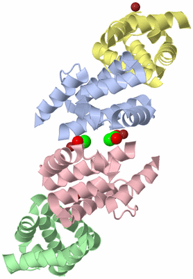 Image Biological Unit 2