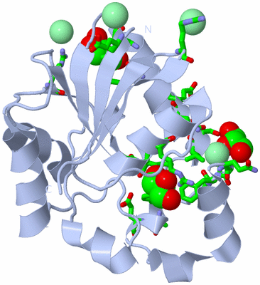 Image Biol. Unit 1 - sites