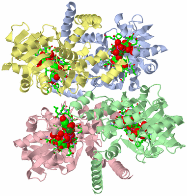 Image Biol. Unit 1 - sites