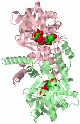 Image Biological Unit 2