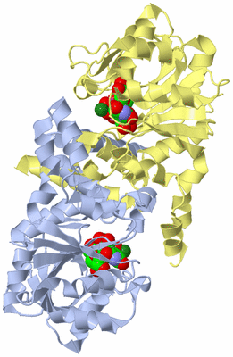 Image Biological Unit 3