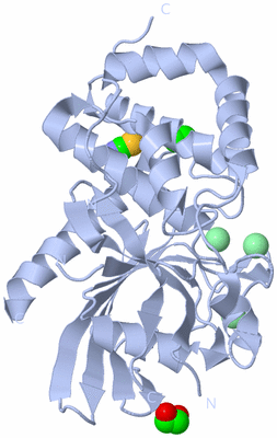 Image Biological Unit 1