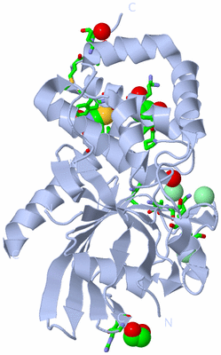 Image Biol. Unit 1 - sites