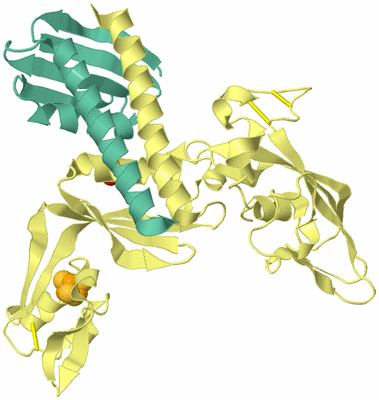 Image Asym./Biol. Unit