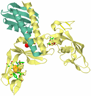 Image Asym./Biol. Unit - sites