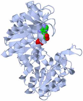 Image Biological Unit 1