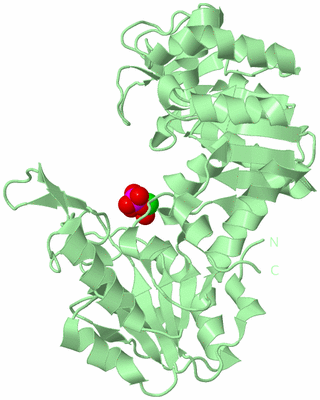 Image Biological Unit 2
