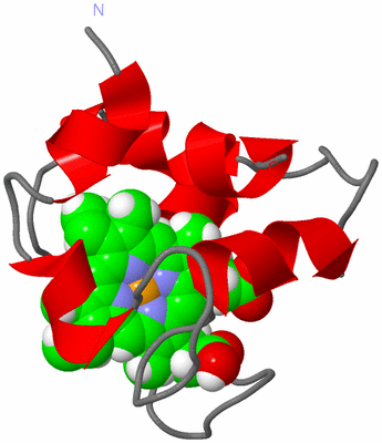 Image NMR Structure - model 1