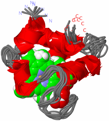 Image NMR Structure - all models