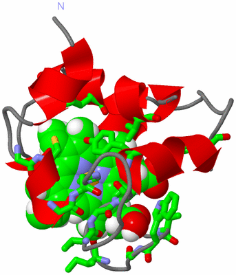 Image NMR Structure - model 1, sites