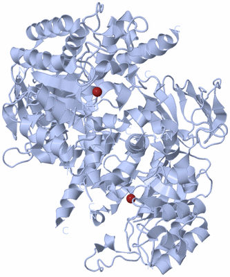 Image Biological Unit 2