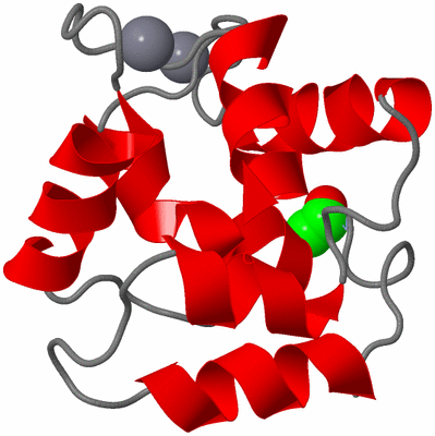 Image NMR Structure - model 1
