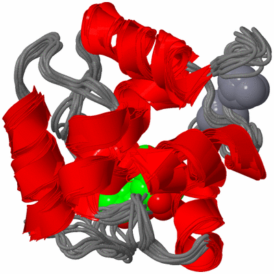 Image NMR Structure - all models