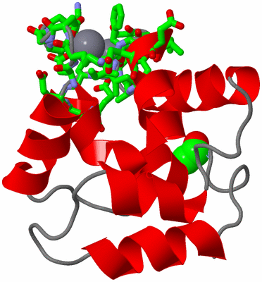 Image NMR Structure - model 1, sites
