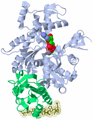 Image Asym./Biol. Unit