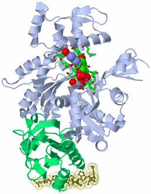 Image Asym./Biol. Unit - sites