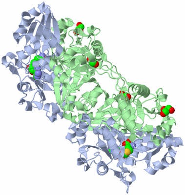 Image Biological Unit 2