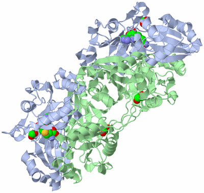 Image Biological Unit 2