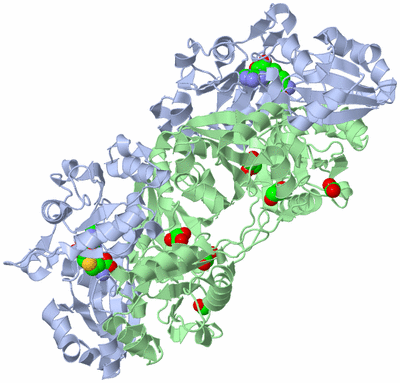 Image Biological Unit 2