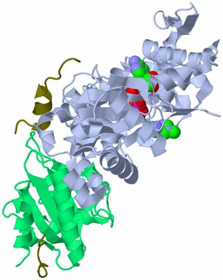 Image Asym./Biol. Unit