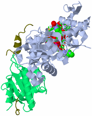 Image Asym./Biol. Unit - sites