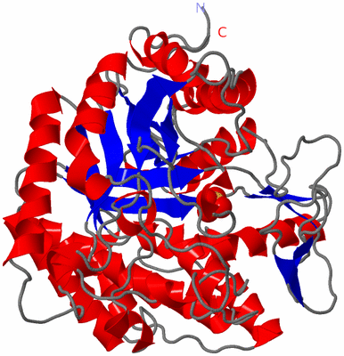 Image Asym./Biol. Unit