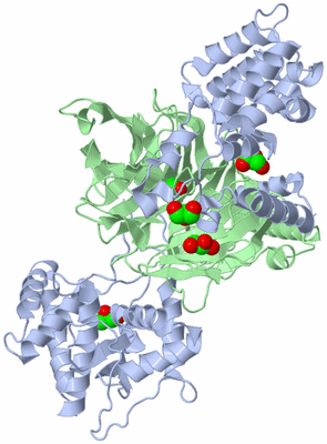 Image Biological Unit 1