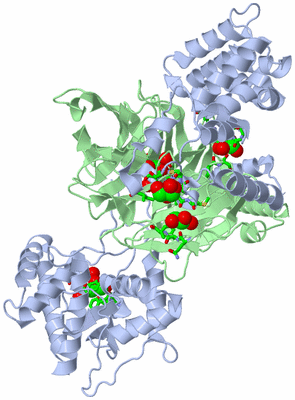 Image Biol. Unit 1 - sites