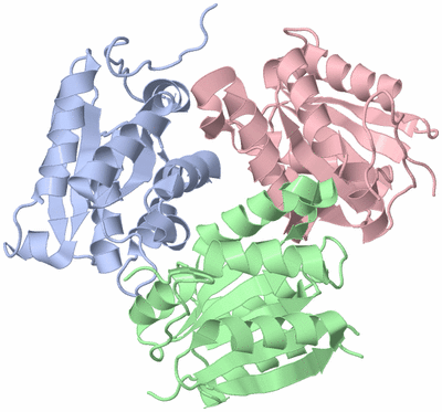 Image Asym./Biol. Unit