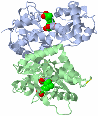 Image Asym./Biol. Unit