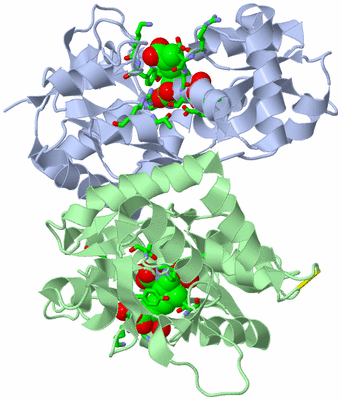 Image Asym./Biol. Unit - sites