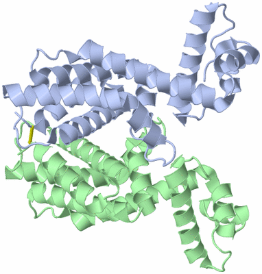 Image Asym./Biol. Unit
