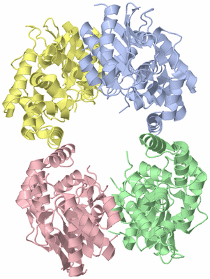 Image Asym./Biol. Unit