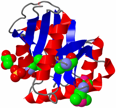 Image Asym./Biol. Unit