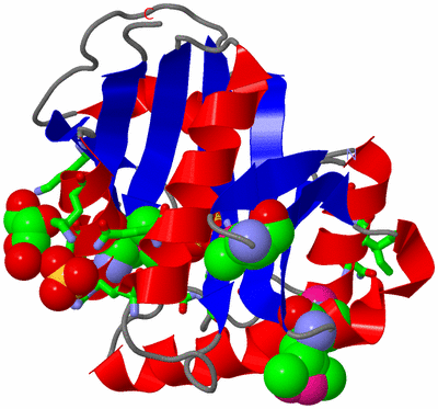 Image Asym./Biol. Unit - sites