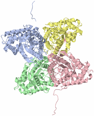 Image Asym./Biol. Unit