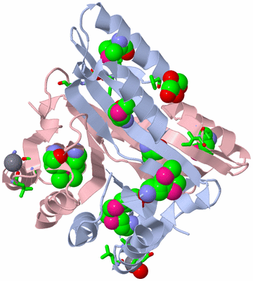 Image Biol. Unit 1 - sites