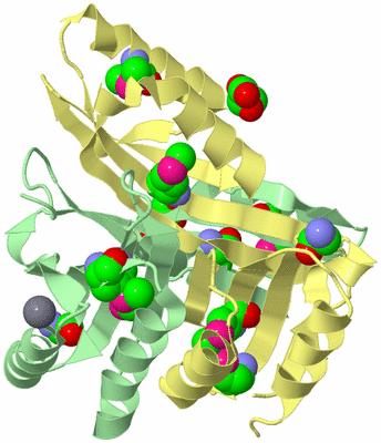 Image Biological Unit 2