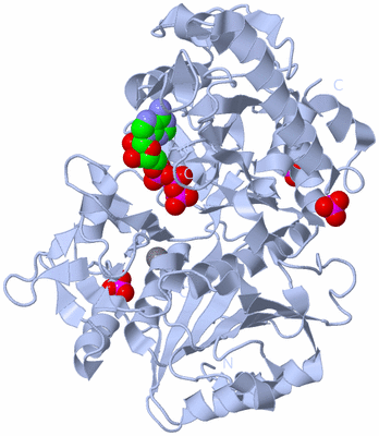 Image Biological Unit 1