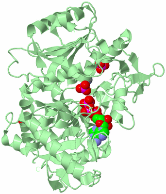 Image Biological Unit 2