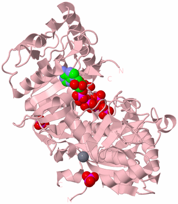 Image Biological Unit 3